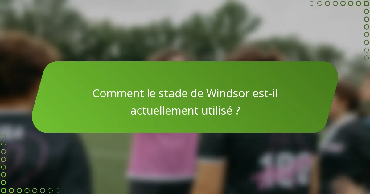 Comment le stade de Windsor est-il actuellement utilisé ?